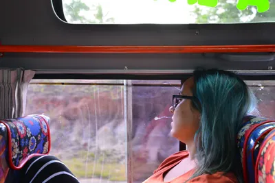 DSC_4634 (Large).JPG